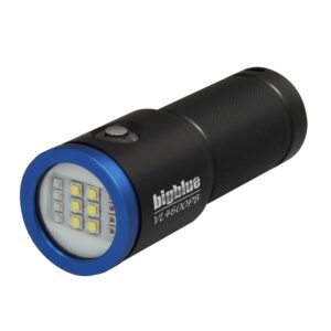 VL4600PB BIGBLUE VIDEO LIGHT