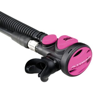 SS1 Stainless, Pink